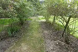 Pad door de rozentuin