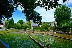 Bassin voor de teelt van waterkers