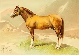 Prent van een karabach, rond 1890