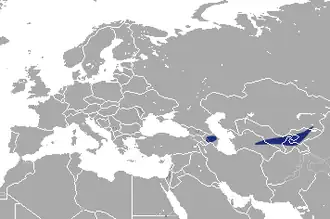 Crocidura serezkyensis