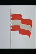 Officiële tekening van de vlag