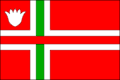 Vlag