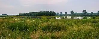 Beeld van rivierenlandscap met wilde bloemen en plasdrasgebied