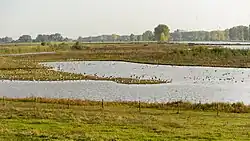 Zicht op de Liendense Waard en de Maas richting Ravenstein in 2011.