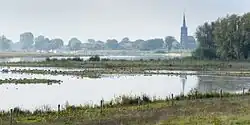 Zicht op de Liendense Waard, met haventje en Sint-Victorkerk van Batenburg op de achtergrond Zicht op het plasdrasgebied in de Liendense Waard, zomer 2021