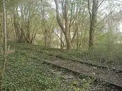 De lijn in Senlis in 2010