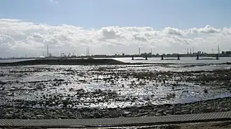 Lillo - Potpolder in september 2012, noordelijk compartiment