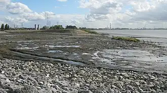 Lillo - Potpolder in september 2012, oostelijk compartiment