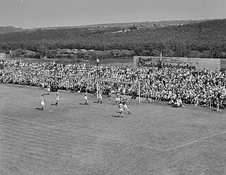 Het stadion tijdens de kampioenswedstrijd tegen Blauw-Wit (1950)