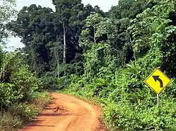 Hoofdweg tussen Linden en Lethem