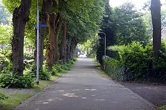 Lindenlaan hoek Torenweg