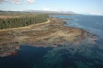 De kust van Kupreanof Island bij eb