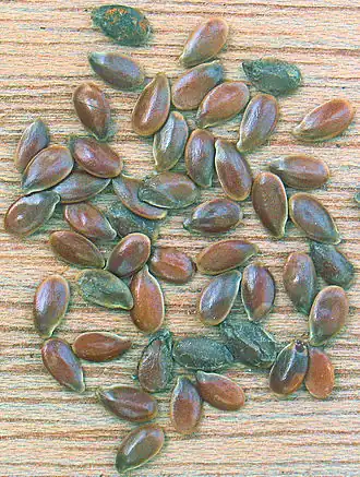 Olievlaszaden: bevatten een grote hoeveelheid essentiële vetzuren