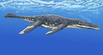 Liopleurodon