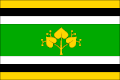 Vlag