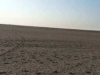 Landschap van het Indian Wild Ass Sanctuary.