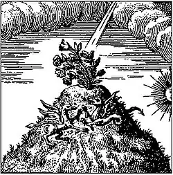 Een bloem op de top van een hoge berg; griffioenen