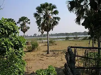 Uitzicht op de Shire-rivier