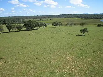 Het vlakke land rond San Ignacio