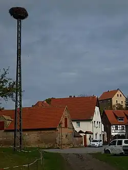 Ooievaarsnest in het centrum van Uichteritz