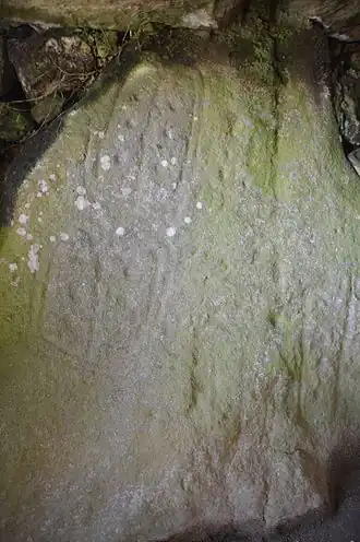 Dolmen des Pierres Plates (Morbihan)