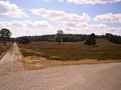 Paden bij de Valenberg