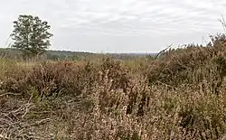 Loenermark op 25 september 2021