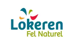 Vlag gemeentedienst Stad Lokeren