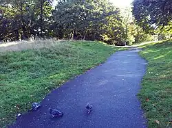 Heuvelopwaarts in Shrewsbury Park