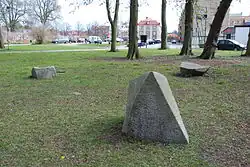 Back to the age van Lone Larsen