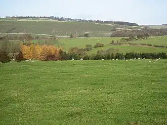 Omgeving van Stainton