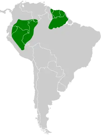 Dubbelbanddwergtiran