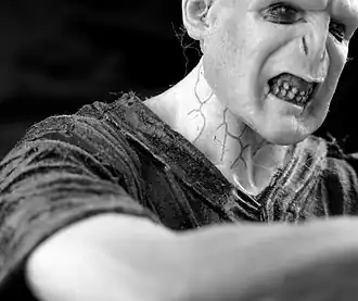 Wassenbeeld Voldemort, 2008