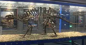 Lotosaurus