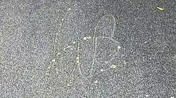 De paraaf van Willem-Alexander