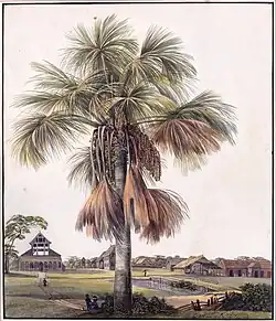 Plantage Alkmaar, 1811