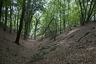 Het Louisedal bij de Postweg