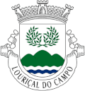 Vlag van Louriçal do Campo