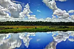 Savanne bij Santa Mission