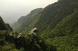 Beboste hellingen van de Lushan