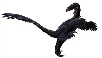Luanchuanraptor