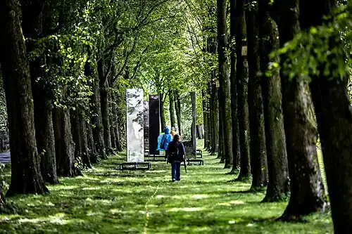 Voorstelling It Gelok fan Fryslân (2020)