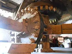 Luizolder Korenaer (2015)