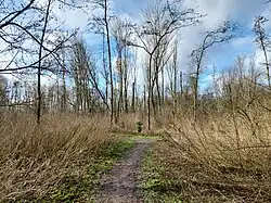 Natuurbos in het Lumièrepark