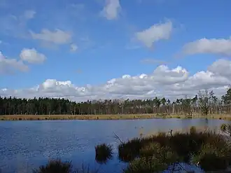 Het Lunsveen in de boswachterij Gieten-Borger