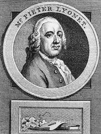 Portret Pieter Lyonet door Reinier Vinkeles