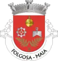 Vlag van Folgosa