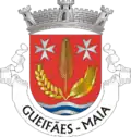 Vlag van Gueifães (Cidade da Maia)