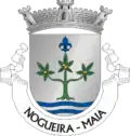 Vlag van Nogueira