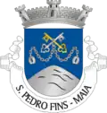 Vlag van São Pedro Fins